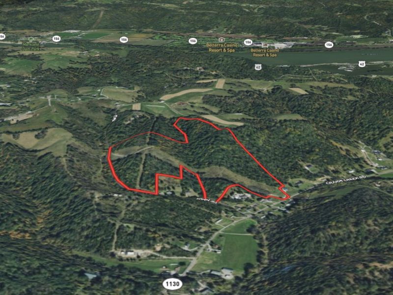495 Winn Road, Sanders, KY 41083 Photo 13