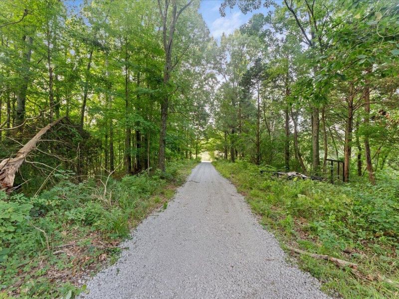 495 Winn Road, Sanders, KY 41083 Photo 14