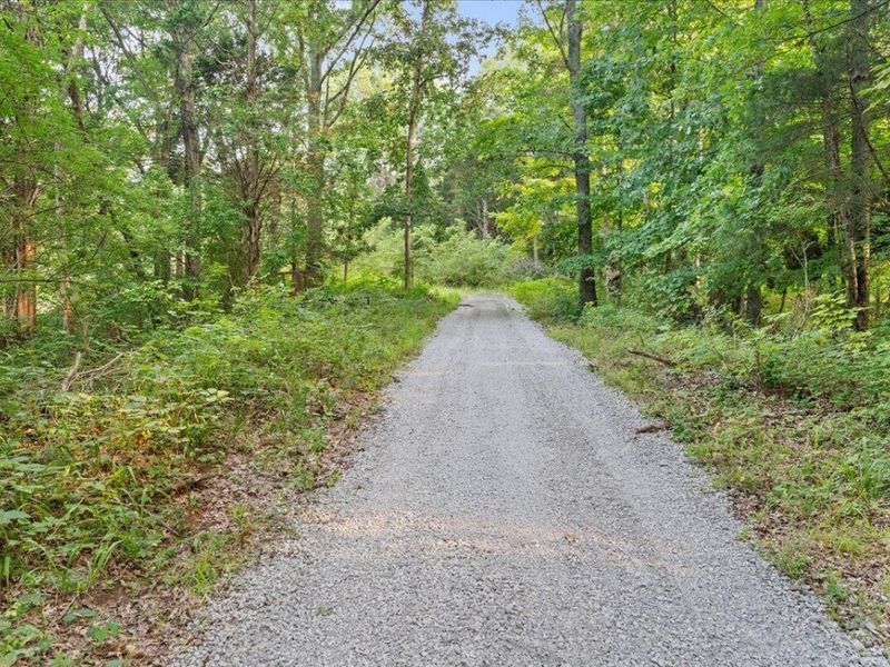 495 Winn Road, Sanders, KY 41083 Photo 15