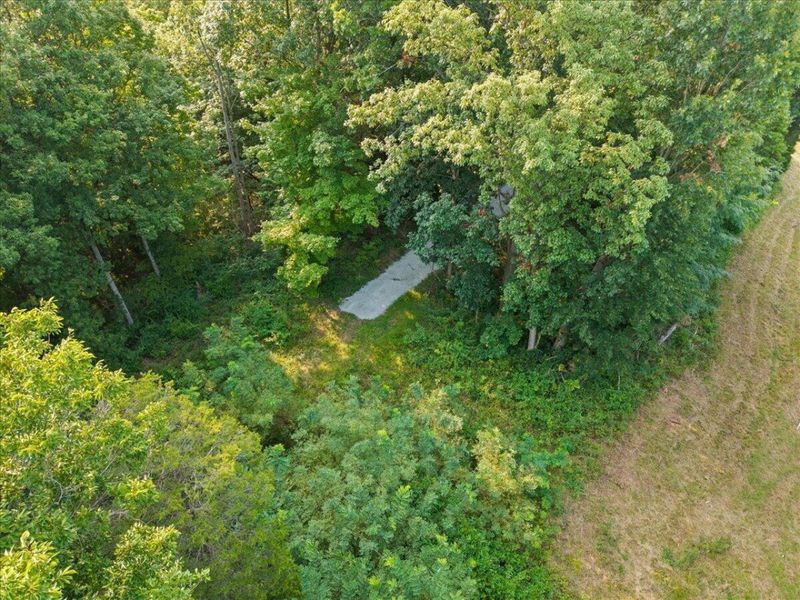 495 Winn Road, Sanders, KY 41083 Photo 16