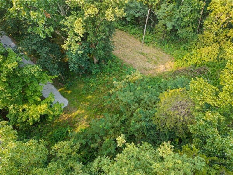 495 Winn Road, Sanders, KY 41083 Photo 17