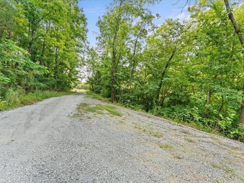 495 Winn Road, Sanders, KY 41083 Photo 18