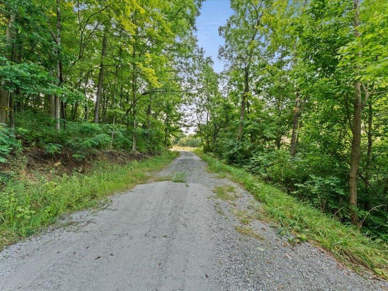 495 Winn Road, Sanders, KY 41083 Photo 19