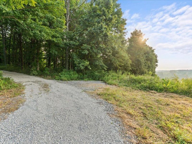 495 Winn Road, Sanders, KY 41083 Photo 2