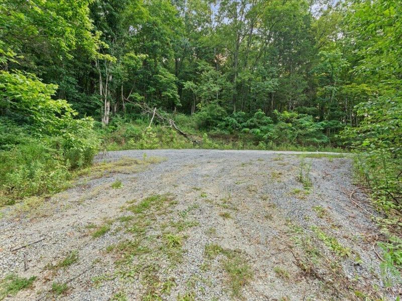 495 Winn Road, Sanders, KY 41083 Photo 21