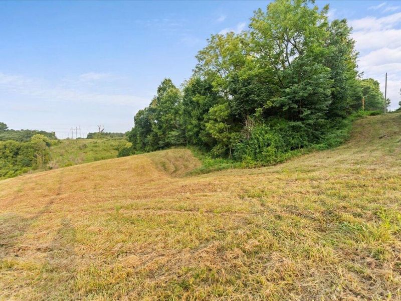 495 Winn Road, Sanders, KY 41083 Photo 3