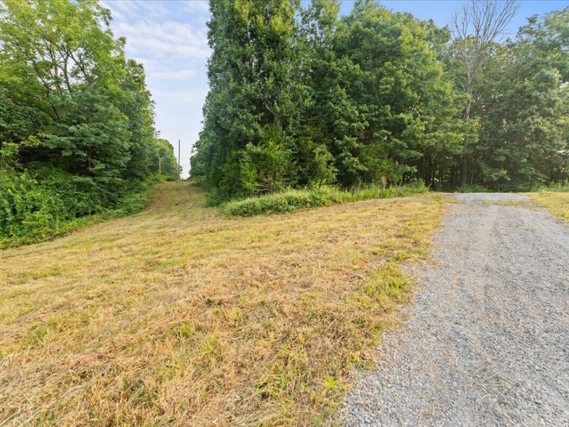 495 Winn Road, Sanders, KY 41083 Photo 4