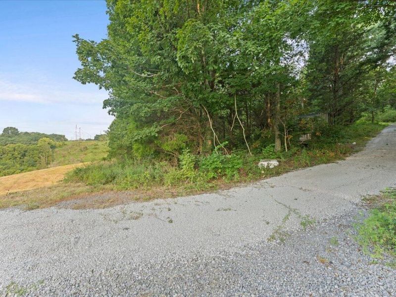 495 Winn Road, Sanders, KY 41083 Photo 5