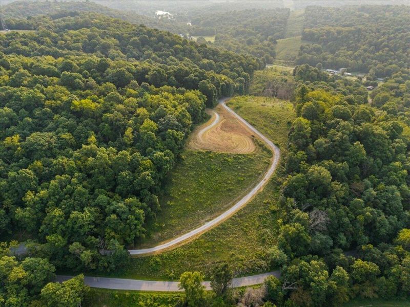495 Winn Road, Sanders, KY 41083 Photo 6
