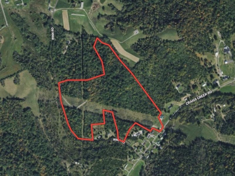 495 Winn Road, Sanders, KY 41083 Photo 7