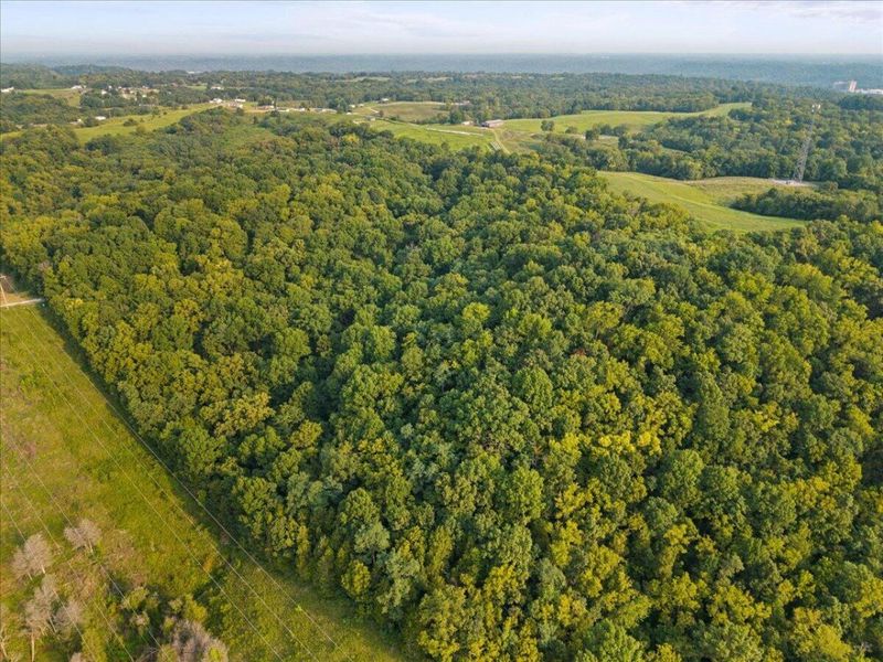 495 Winn Road, Sanders, KY 41083 Photo 9