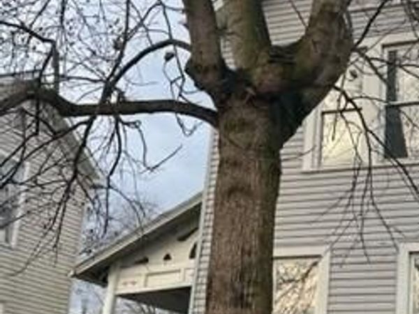 409 Mead Street , Unit 409/409 1/, Zanesville, OH 43701