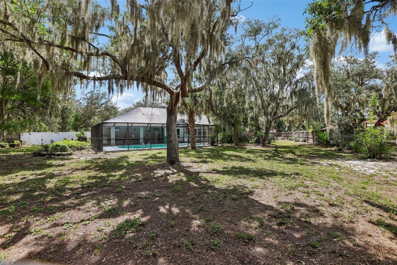 4603 Ridgecliff Drive, Brandon, FL 33511 Photo