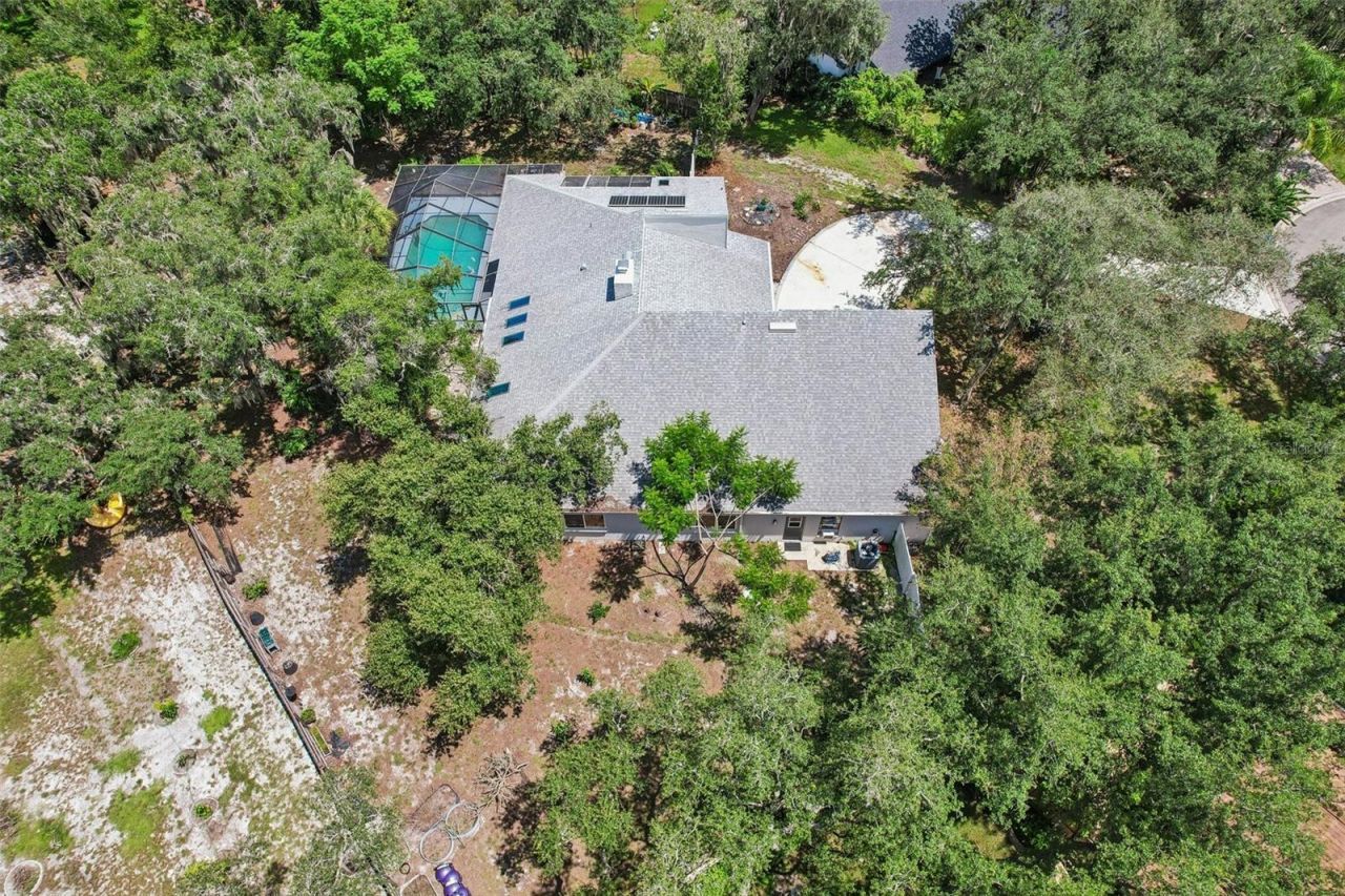 4603 Ridgecliff Drive, Brandon, FL 33511 Photo
