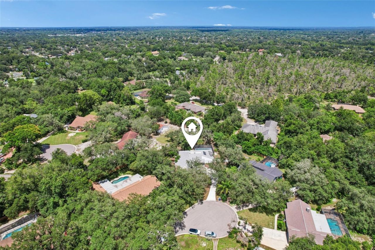 4603 Ridgecliff Drive, Brandon, FL 33511 Photo