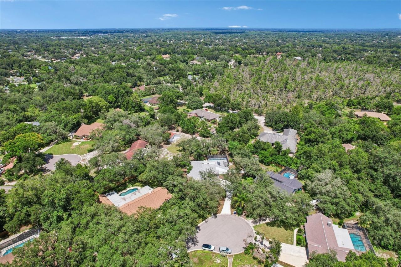 4603 Ridgecliff Drive, Brandon, FL 33511 Photo