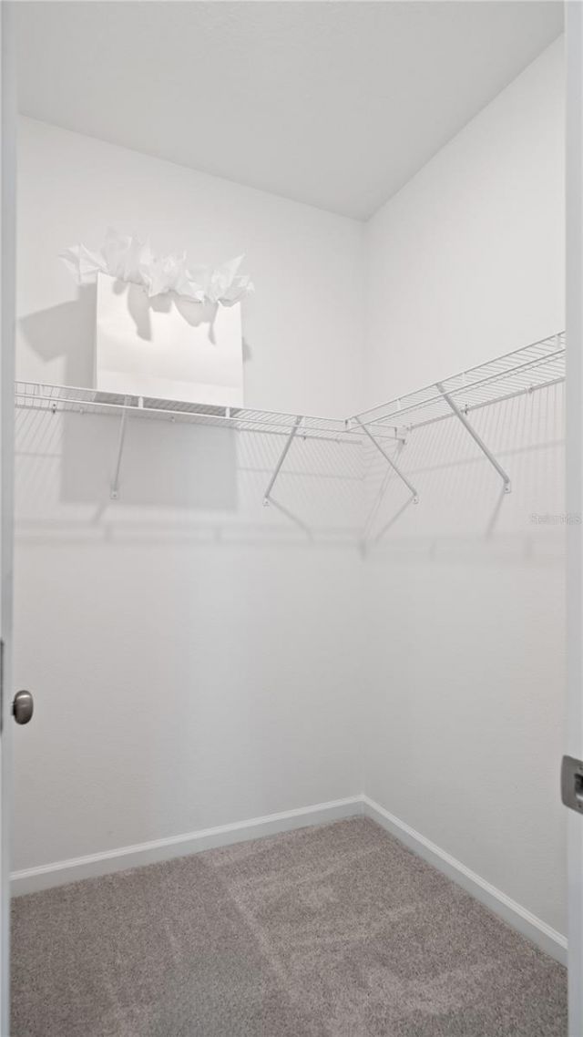 533 Tundra Loop , Groveland, FL 34736 Photo