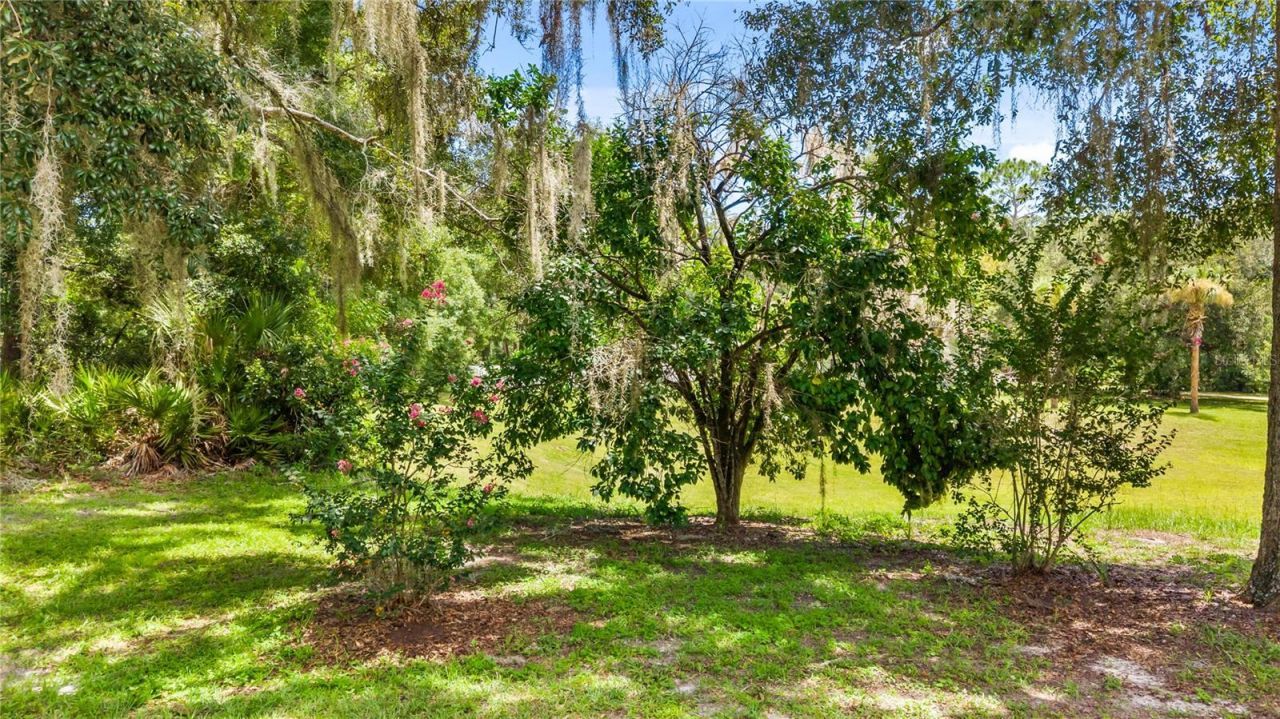 11108 NW 70th Circle , Chiefland, FL 32626 Photo
