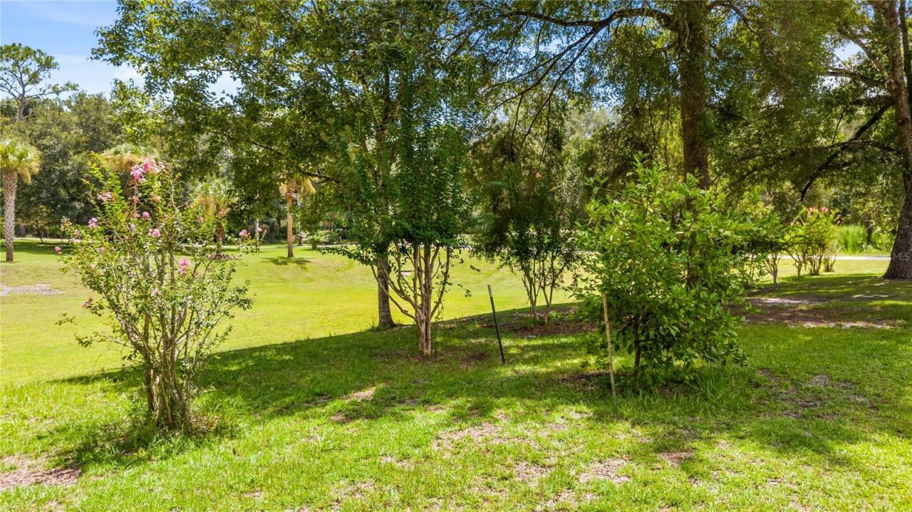 11108 NW 70th Circle , Chiefland, FL 32626 Photo