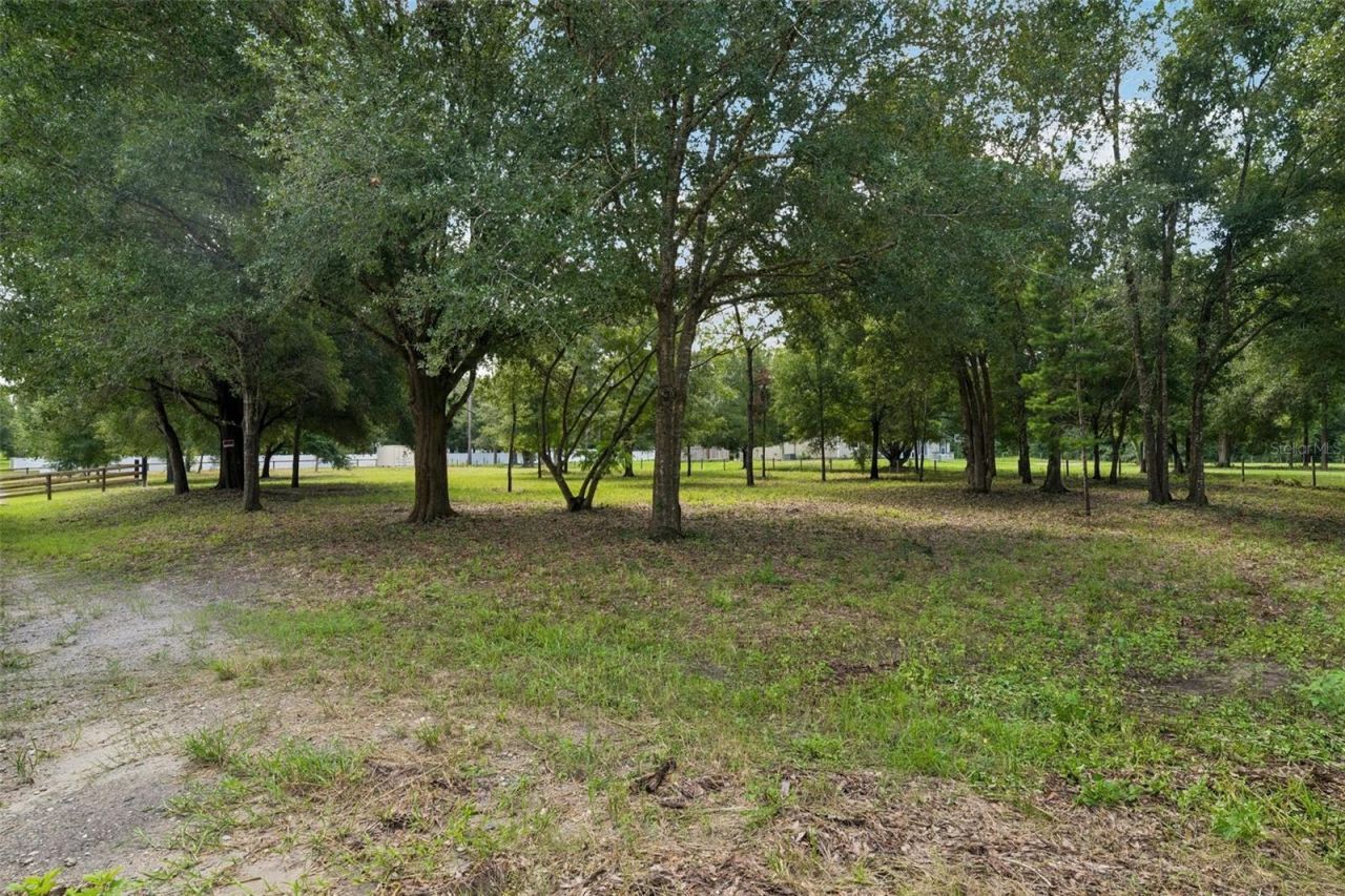 0 Raiser Rd , Dade City, FL 33525 Photo