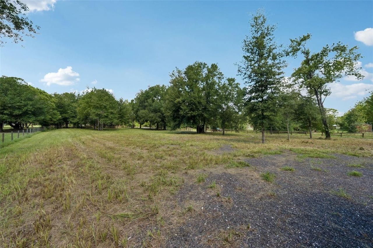 0 Raiser Rd , Dade City, FL 33525 Photo