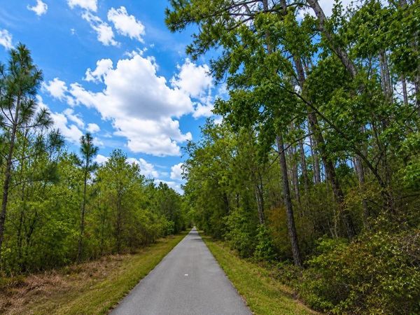 00 VAN FLEET TRAIL , POLK CITY, FL 33868