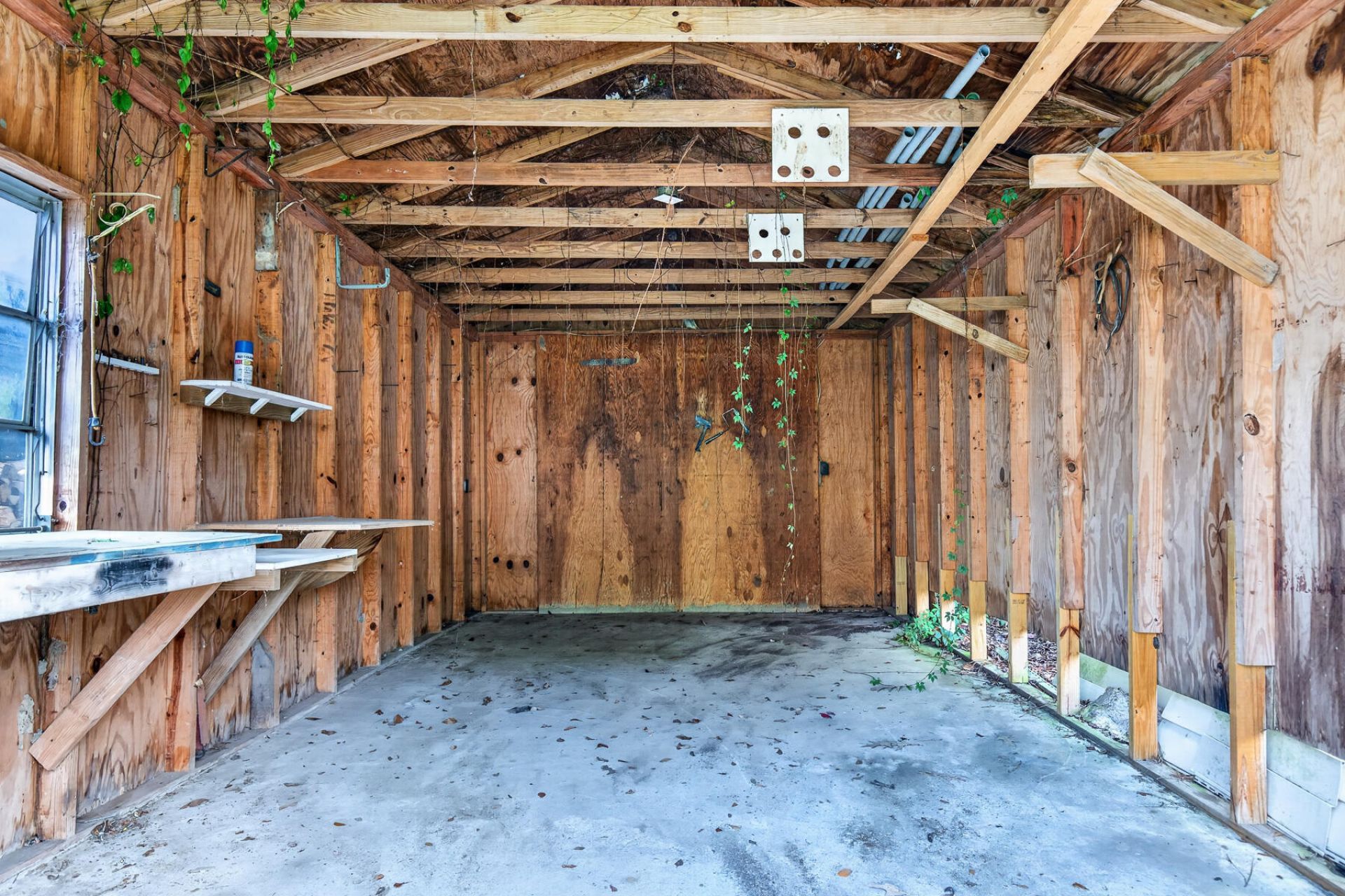 113 Ripple Avenue Photo 42