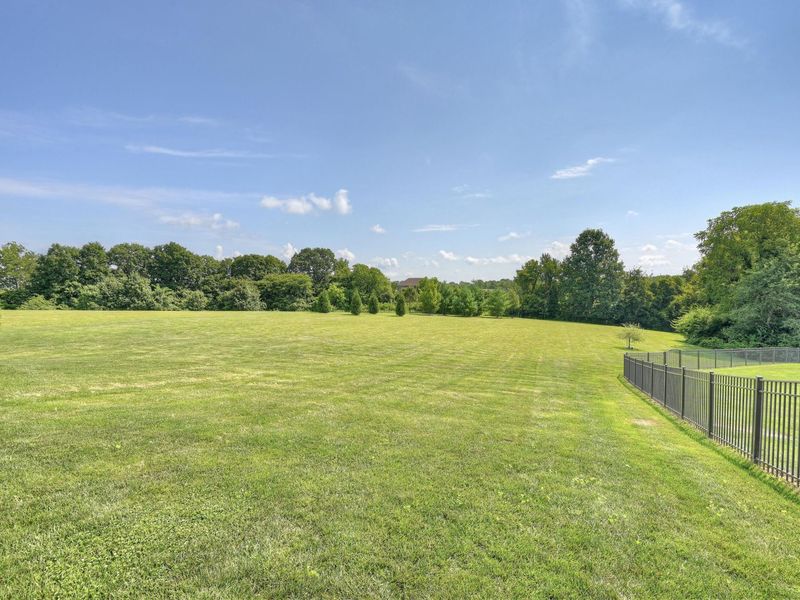 1525 Grapevine Ridge, Walton, KY 41094 Photo 45
