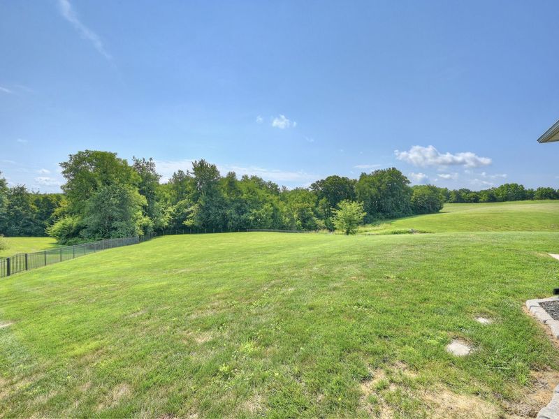 1525 Grapevine Ridge, Walton, KY 41094 Photo 46
