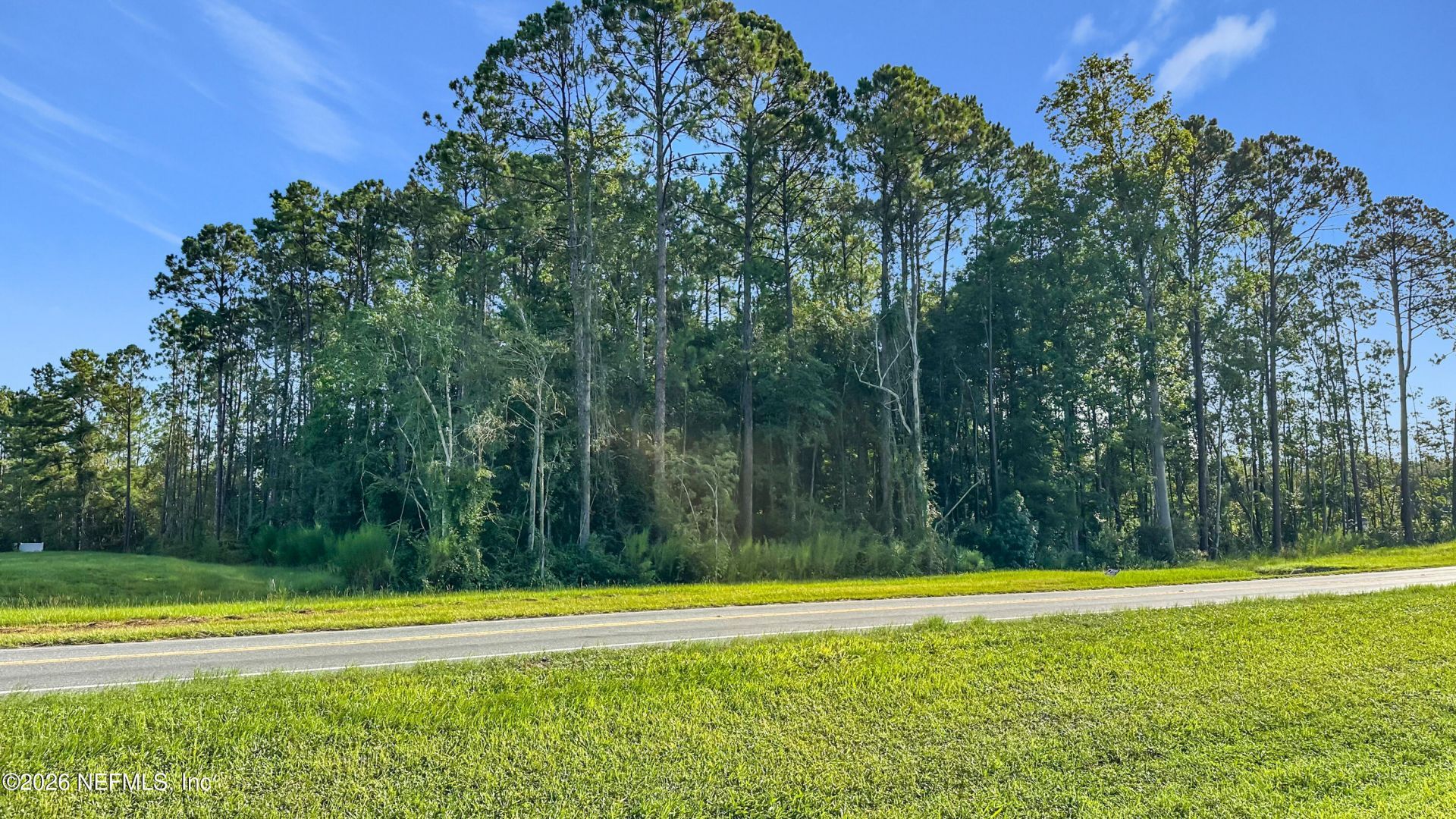 4454 Co Rd 218, Middleburg, FL 32068 Photo