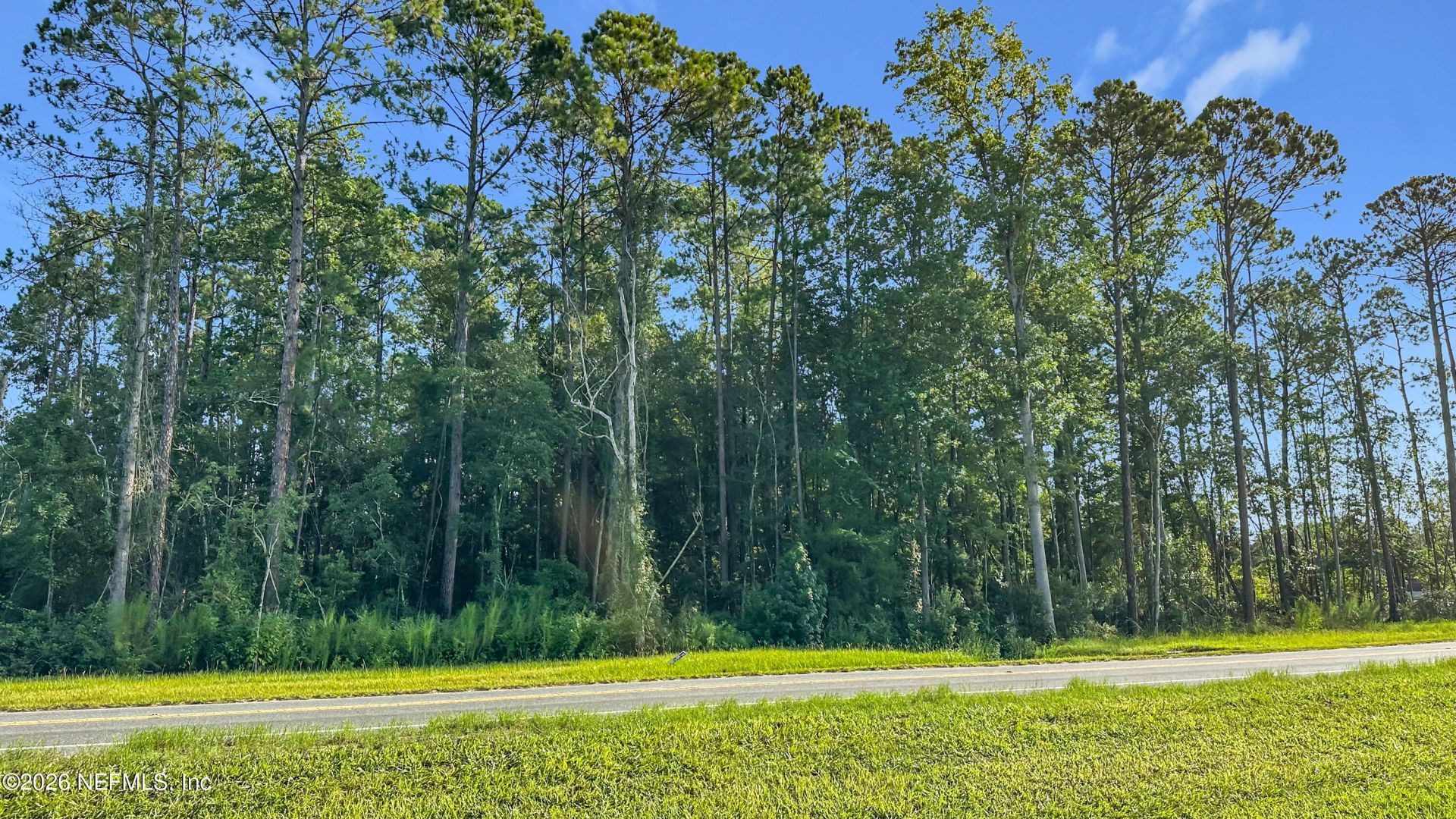 4454 Co Rd 218, Middleburg, FL 32068 Photo