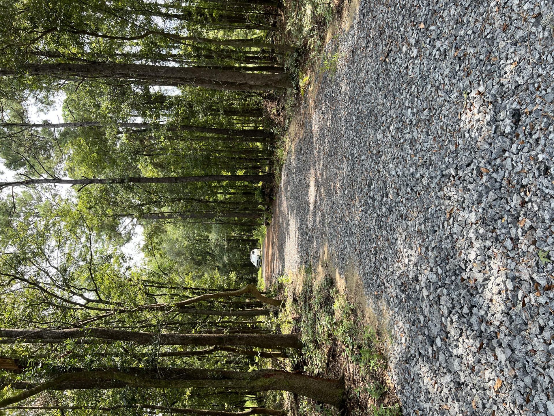 0 Mercantile Road Photo 11