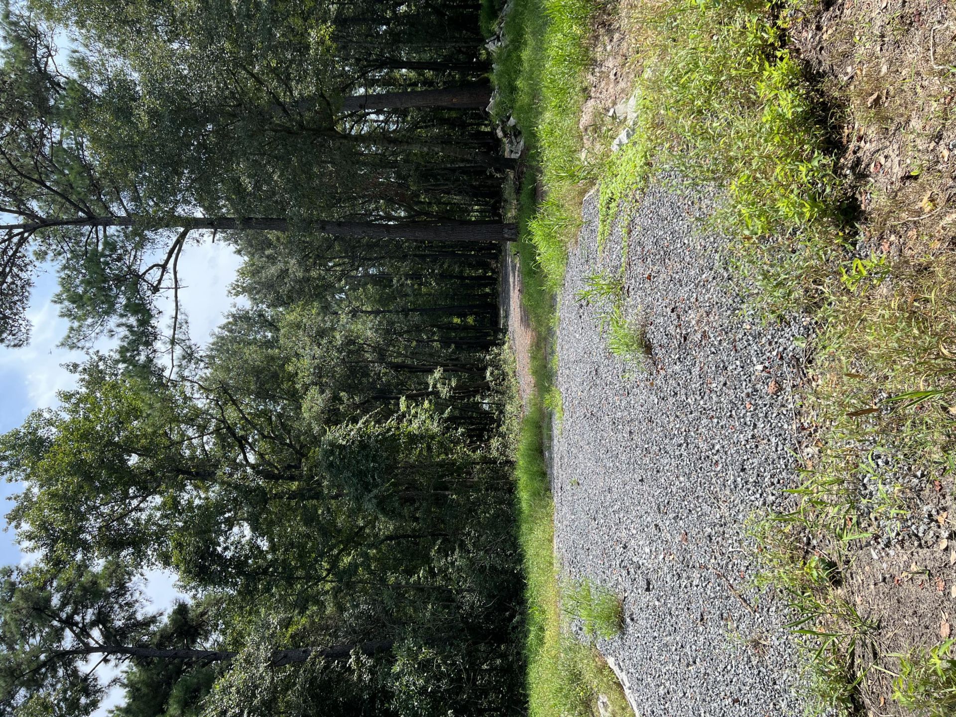 0 Mercantile Road Photo 12