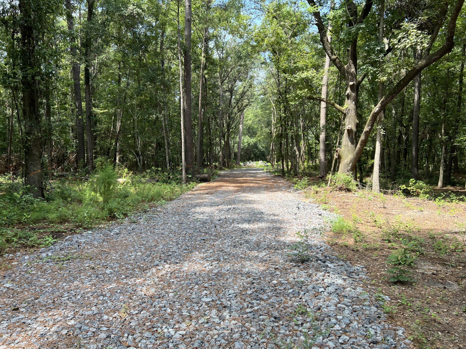 0 Mercantile Road Photo 22