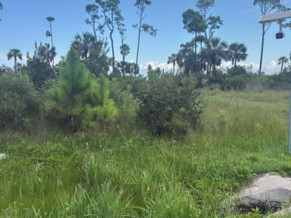 Lot 2 Cape San Blas Rd, Cape San Blas, FL 32456