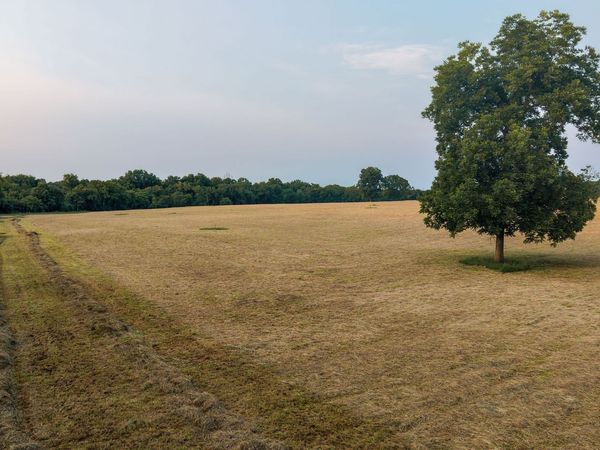 0 Wallace Thompson Road , Unit 1, Lewisburg, TN 37091