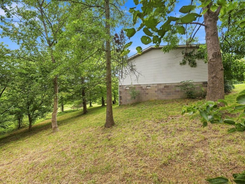 4530 Taft HWY, Dry Ridge, KY 41035 Photo 35