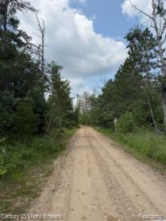 0000 Winding Rd Road, Albert Township, Mi 49756 Main Photo