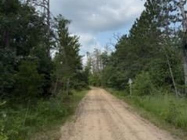 0000 Winding Rd Road, Albert Township, Mi 49756