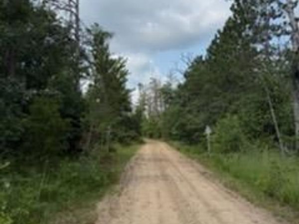 0000 Winding Rd Road, Albert Township, Mi 49756