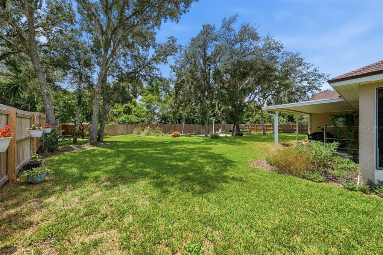 10102 Silver Bluff Drive , Leesburg, FL 34788 Photo
