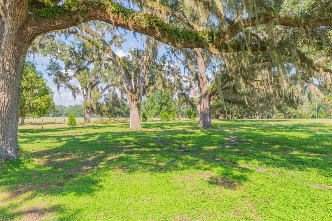 16225 Bellamy Brothers Boulevard, Dade City, FL 33525 Photo