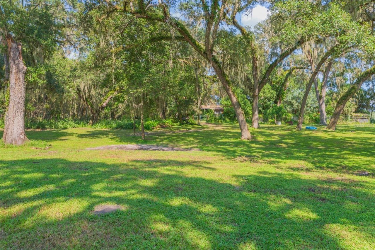 16225 Bellamy Brothers Boulevard, Dade City, FL 33525 Photo