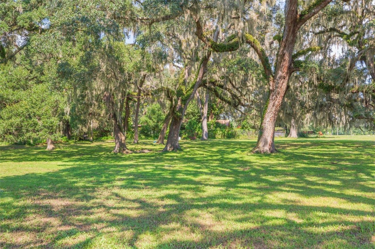16225 Bellamy Brothers Boulevard, Dade City, FL 33525 Photo