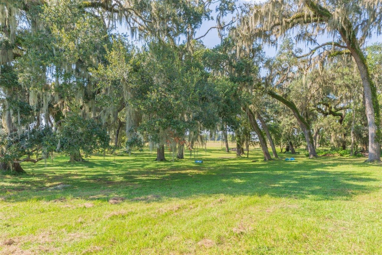16225 Bellamy Brothers Boulevard, Dade City, FL 33525 Photo