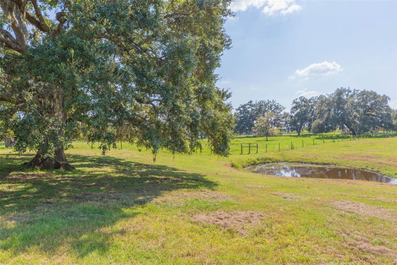16225 Bellamy Brothers Boulevard, Dade City, FL 33525 Photo