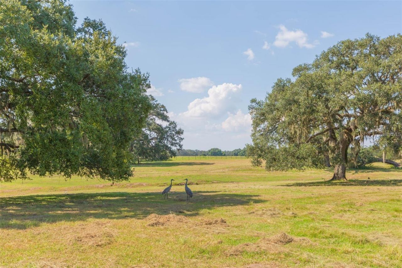 16225 Bellamy Brothers Boulevard, Dade City, FL 33525 Photo