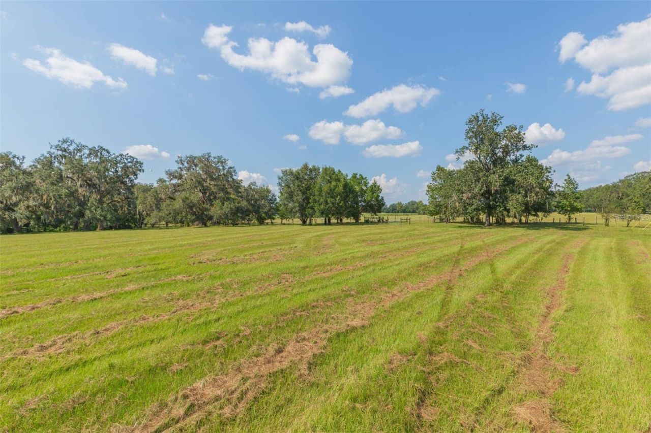 16225 Bellamy Brothers Boulevard, Dade City, FL 33525 Photo