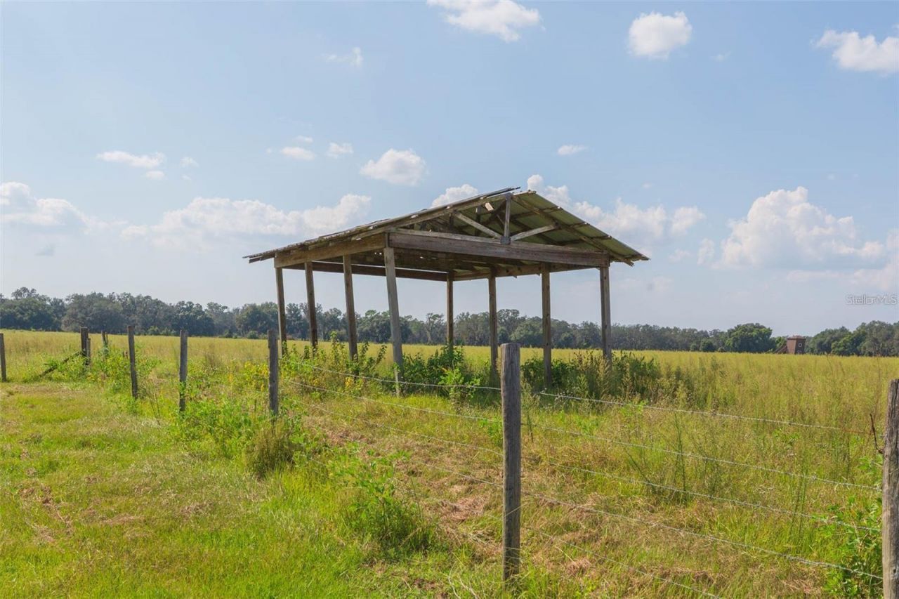 16225 Bellamy Brothers Boulevard, Dade City, FL 33525 Photo