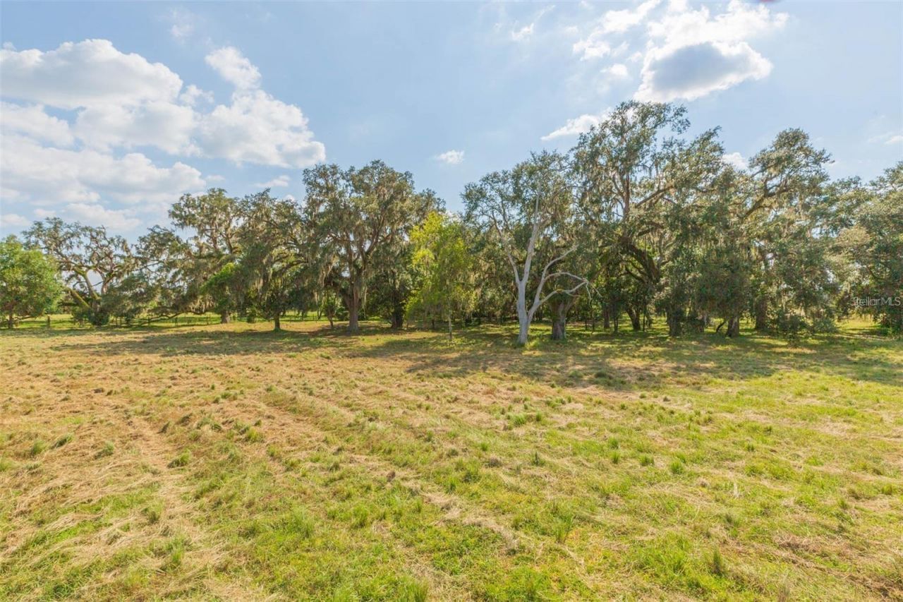 16225 Bellamy Brothers Boulevard, Dade City, FL 33525 Photo